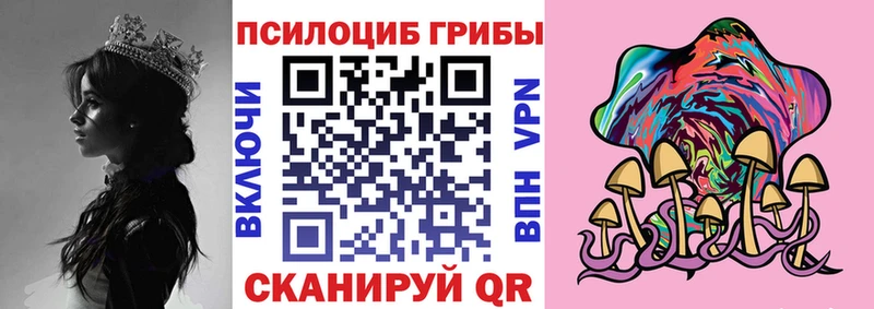 Псилоцибиновые грибы ЛСД  наркошоп  Жуковка 